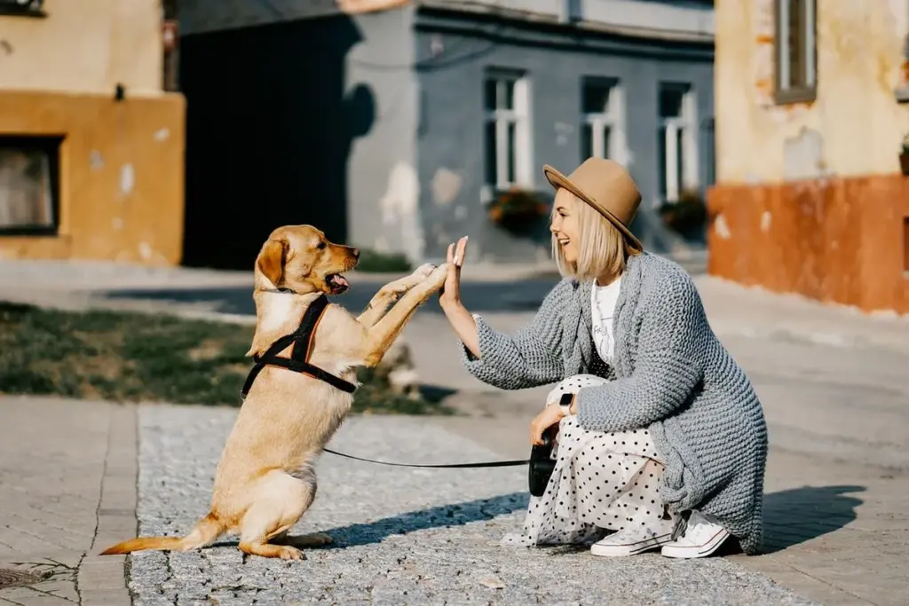 perro jugando con mujer