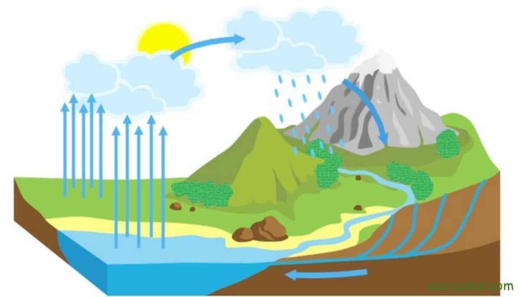 What is the water cycle.  Its 7 steps.  diagram and explanation