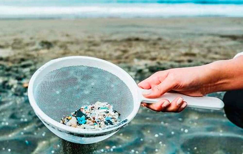 plásticos, microplásticos, contaminación, basura, vida marina