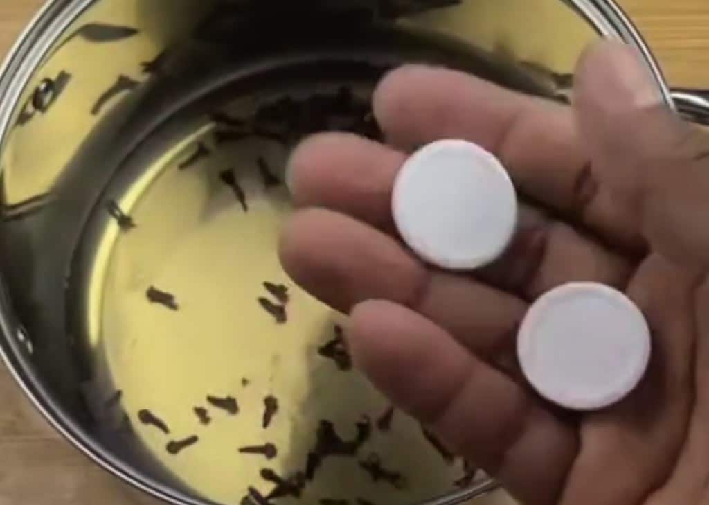 Despídete de los mosquitos en tu casa con esta receta casera