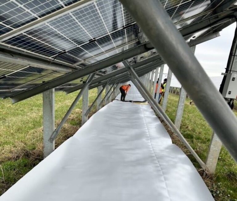 La inesperada clave para aumentar la producción de los paneles solares bifaciales: el suelo blanco